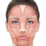 What are Botulinum toxin injections and what can you treat with them?